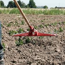 Image result for Harrow Tc