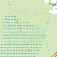 Attēlu rezultāti vaicājumam “Pinthaeus sanguinipes imago”