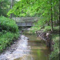 Image result for Thorn Park L T C