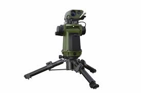 Attēlu rezultāti vaicājumam “Sterna”