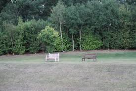 Image result for Broadstreet Rugby Football Club