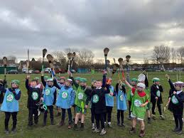 Image result for Ceann Creige Hurling and Camogie Club