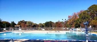 Image result for Odiham swim club