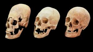 Image result for elongated skulls