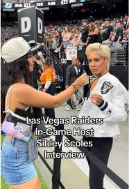 Image result for Blackpool Raiders