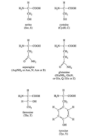 Image result for  `   C   h | [ Y