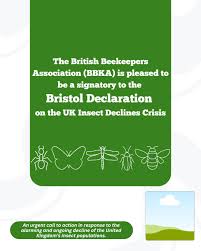 Image result for Boccia In Epsom & Ewell (Bees)