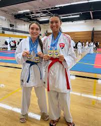 Image result for Karate Wado Kai