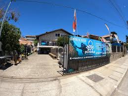 Image result for Worcester Divers Octopush Club