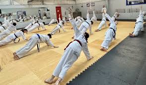 Image result for Turners Tae Kwon Do