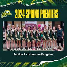 Image result for Lymm Baci Netball Club