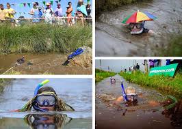 Image result for Bog Snorkelling Championships