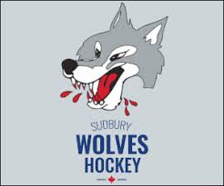 Image result for Sudbury Hockey Club