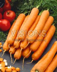 Attēlu rezultāti vaicājumam “Daucus sativus”