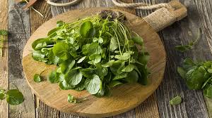 Image result for Brunnenkresse