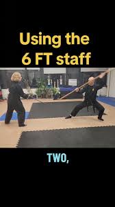 Image result for M-S-N Ninjutsu (Bujinkan) Club