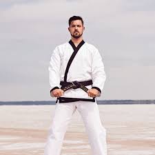 Image result for Masters of Martial Arts