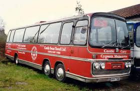 Image result for Castle Cary Cygnets Majorettes