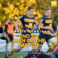 Image result for Maidstone Rfc