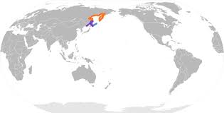 Image result for Brachyramphus perdix