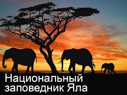 Image result for Яла заповедник