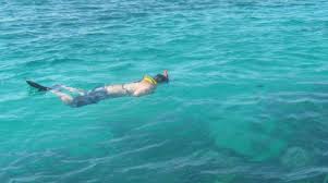 Image result for Belfairs Dolphins Snorkelling Club