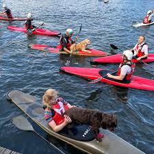 Image result for Viking Canoe Polo Club