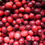 Home - American Cranberry (Vaccinium macrocarpon) - Research ...