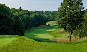 Image result for York University Golf Club