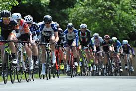 Image result for Dinnington Racing Club