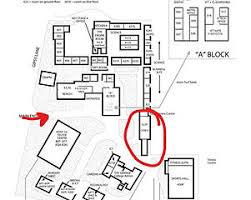 Image result for Exmouth Vikings Judo Club