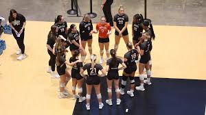Image result for Sutton Volleyball Club