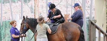 Image result for Riding For The Disabled Association