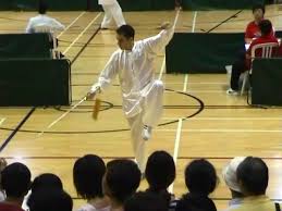 Image result for Dragon Martial Arts Association