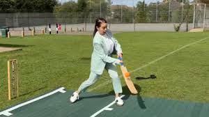 Image result for Luton Caribbean Cricket & Social Club