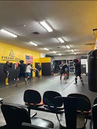 Image result for Pyramid martial arts
