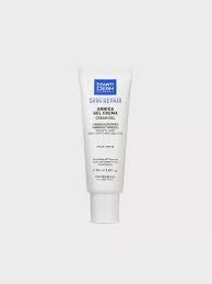 Image result for Arnika