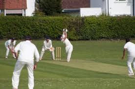 Image result for South Nutfield Cricket Club