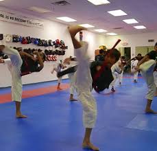 Image result for Turners Tae Kwon Do