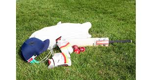 Image result for Bilton Cricket Club