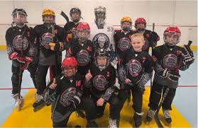 Image result for Vipers Roller Hockey Team