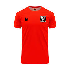 Image result for Croesyceiliog Cricket Club