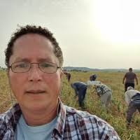 Attēlu rezultāti vaicājumam “Licea minima spores”