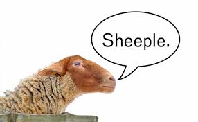 Image result for sheeple