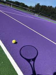 Image result for Acomb Tennis Club