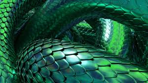 Image result for reptile scales
