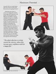 Image result for Somerset Jeet Kune Do