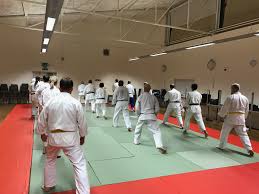Image result for London Aikido Club