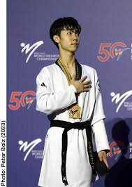 Image result for Park Place Olympic Tkd