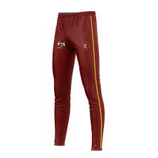 Image result for Pentyrch Cricket Club